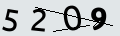 verifycode